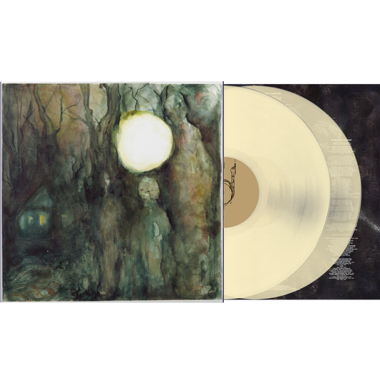 “I Didn’t Mean To Haunt You” 2xLP Translucent Vinyl [Pre-Order]